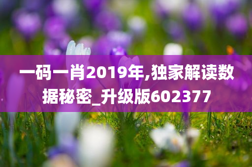 一码一肖2019年,独家解读数据秘密_升级版602377