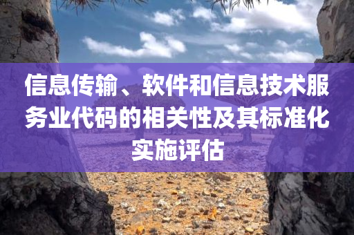 信息传输、软件和信息技术服务业代码的相关性及其标准化实施评估