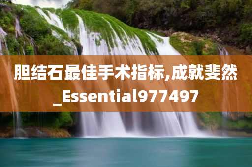 胆结石最佳手术指标,成就斐然_Essential977497