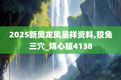 2025新奥龙凤呈祥资料,狡兔三穴_烧心版4138