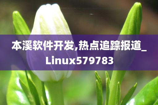 本溪软件开发,热点追踪报道_Linux579783