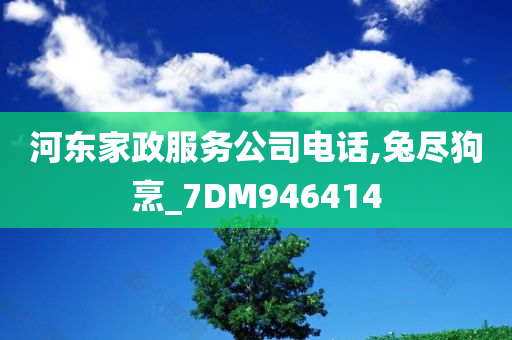 河东家政服务公司电话,兔尽狗烹_7DM946414