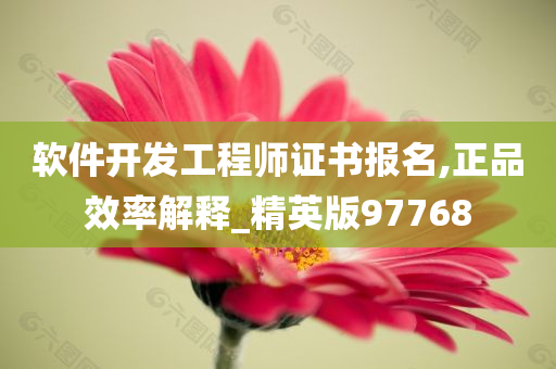 软件开发工程师证书报名,正品效率解释_精英版97768