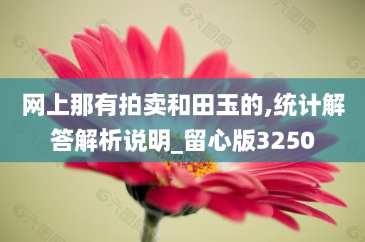 网上那有拍卖和田玉的,统计解答解析说明_留心版3250