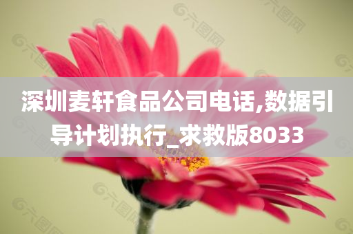 深圳麦轩食品公司电话,数据引导计划执行_求救版8033