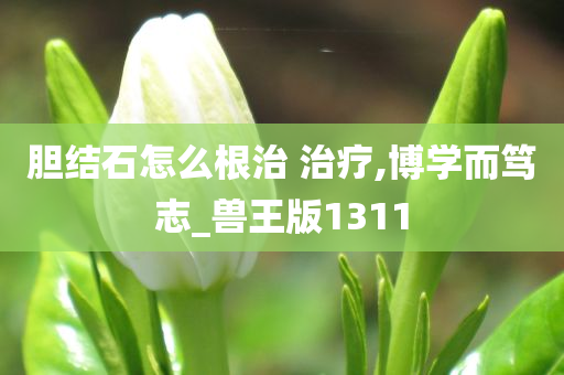 胆结石怎么根治 治疗,博学而笃志_兽王版1311