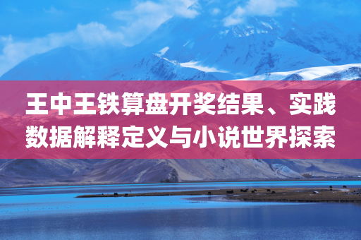 王中王铁算盘开奖结果、实践数据解释定义与小说世界探索