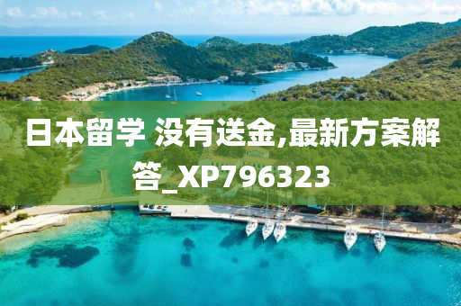 日本留学 没有送金,最新方案解答_XP796323