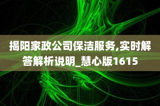 揭阳家政公司保洁服务,实时解答解析说明_慧心版1615