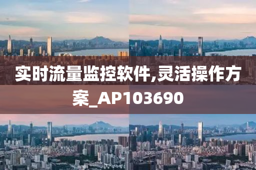 实时流量监控软件,灵活操作方案_AP103690