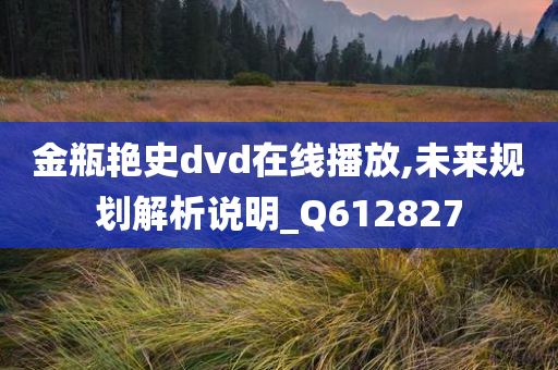 金瓶艳史dvd在线播放,未来规划解析说明_Q612827