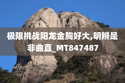 极限挑战阳龙金胸好大,明辨是非曲直_MT847487