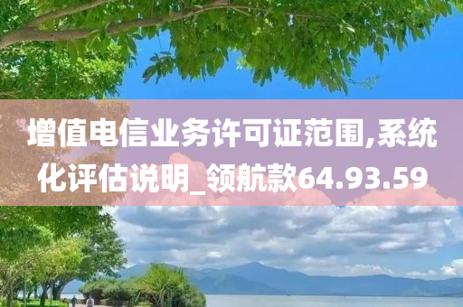 增值电信业务许可证范围,系统化评估说明_领航款64.93.59