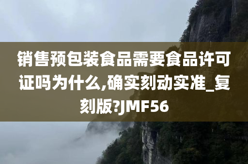 销售预包装食品需要食品许可证吗为什么,确实刻动实准_复刻版?JMF56