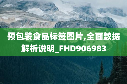 预包装食品标签图片,全面数据解析说明_FHD906983