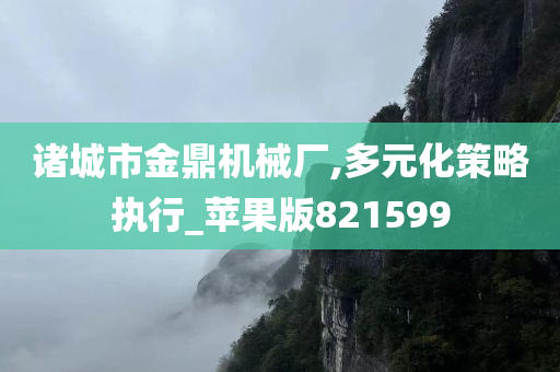 诸城市金鼎机械厂,多元化策略执行_苹果版821599