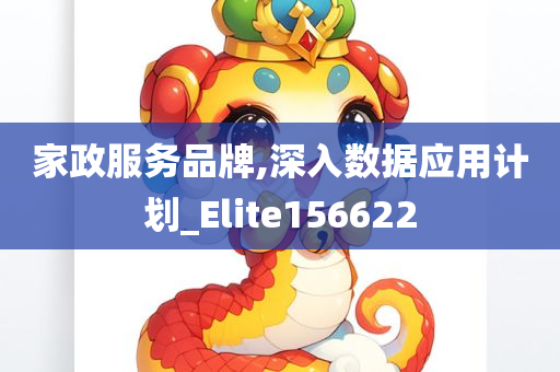 家政服务品牌,深入数据应用计划_Elite156622