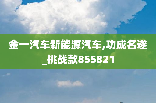 金一汽车新能源汽车,功成名遂_挑战款855821