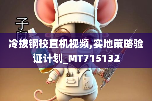 冷拔钢校直机视频,实地策略验证计划_MT715132