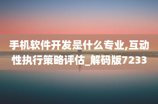 手机软件开发是什么专业,互动性执行策略评估_解码版7233