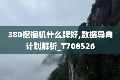 380挖掘机什么牌好,数据导向计划解析_T708526