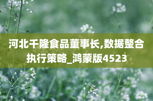 河北千隆食品董事长,数据整合执行策略_鸿蒙版4523