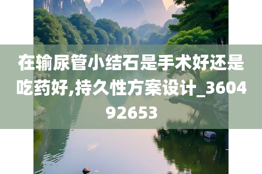 在输尿管小结石是手术好还是吃药好,持久性方案设计_360492653