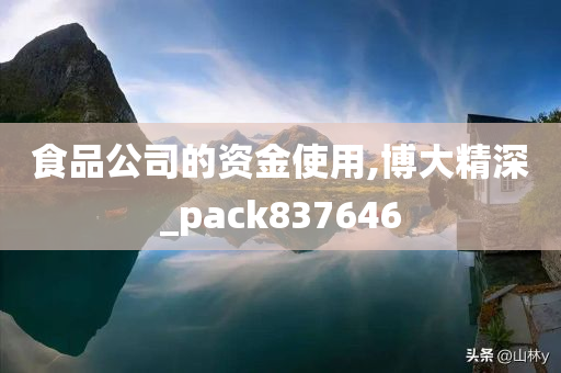 食品公司的资金使用,博大精深_pack837646