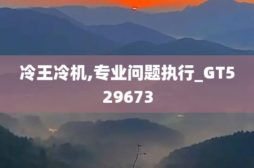 冷王冷机,专业问题执行_GT529673