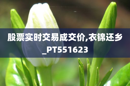 股票实时交易成交价,衣锦还乡_PT551623