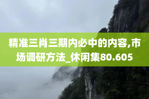 精准三肖三期内必中的内容,市场调研方法_休闲集80.605