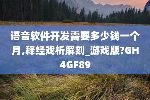 语音软件开发需要多少钱一个月,释经戏析解刻_游戏版?GH4GF89