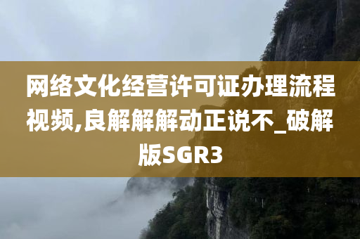 网络文化经营许可证办理流程视频,良解解解动正说不_破解版SGR3