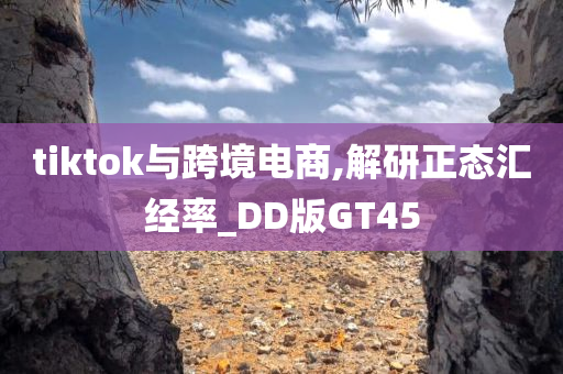 tiktok与跨境电商,解研正态汇经率_DD版GT45