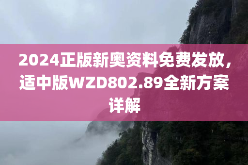 2024正版新奥资料免费发放，适中版WZD802.89全新方案详解