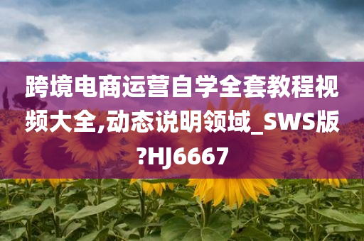 跨境电商运营自学全套教程视频大全,动态说明领域_SWS版?HJ6667