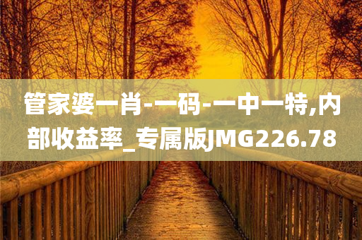 管家婆一肖-一码-一中一特,内部收益率_专属版JMG226.78