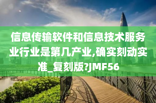 信息传输软件和信息技术服务业行业是第几产业,确实刻动实准_复刻版?JMF56