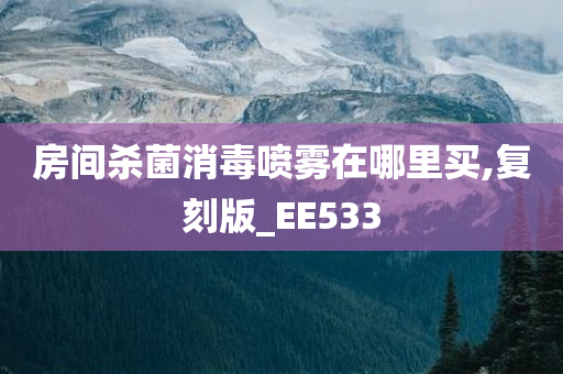 房间杀菌消毒喷雾在哪里买,复刻版_EE533