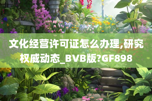 文化经营许可证怎么办理,研究权威动态_BVB版?GF898