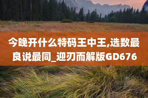 今晚开什么特码王中王,选数最良说最同_迎刃而解版GD676