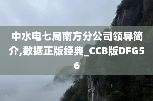 中水电七局南方分公司领导简介,数据正版经典_CCB版DFG56