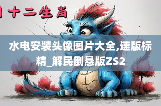 水电安装头像图片大全,速版标精_解民倒悬版ZS2