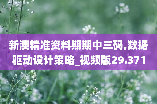 新澳精准资料期期中三码,数据驱动设计策略_视频版29.371