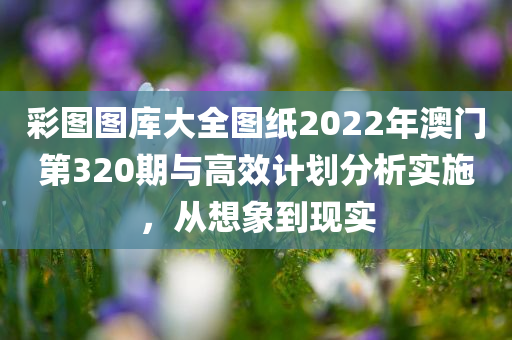 彩图图库大全图纸2022年澳门第320期与高效计划分析实施，从想象到现实