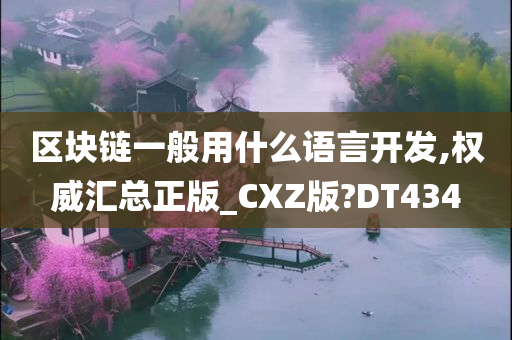 区块链一般用什么语言开发,权威汇总正版_CXZ版?DT434