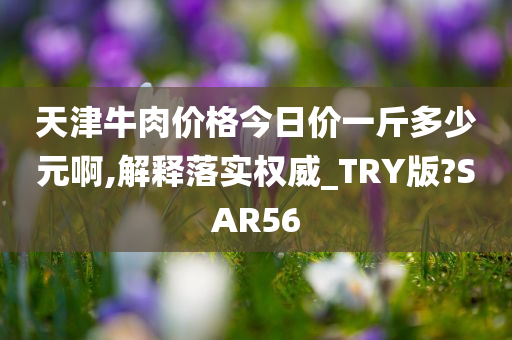 天津牛肉价格今日价一斤多少元啊,解释落实权威_TRY版?SAR56