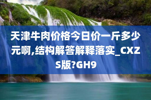 天津牛肉价格今日价一斤多少元啊,结构解答解释落实_CXZS版?GH9