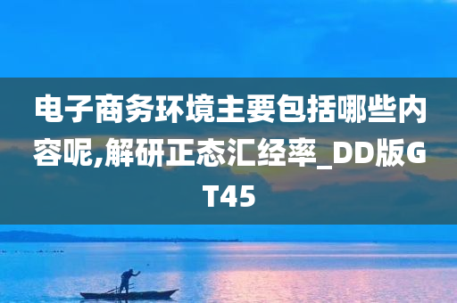 电子商务环境主要包括哪些内容呢,解研正态汇经率_DD版GT45