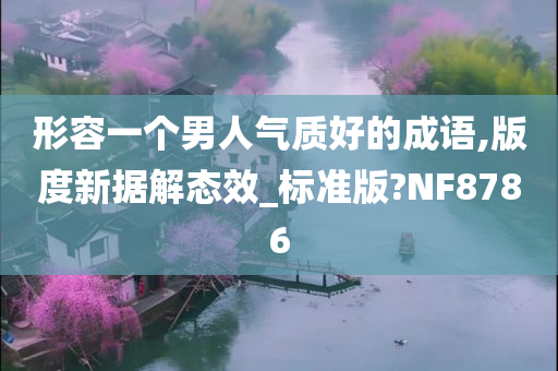 形容一个男人气质好的成语,版度新据解态效_标准版?NF8786